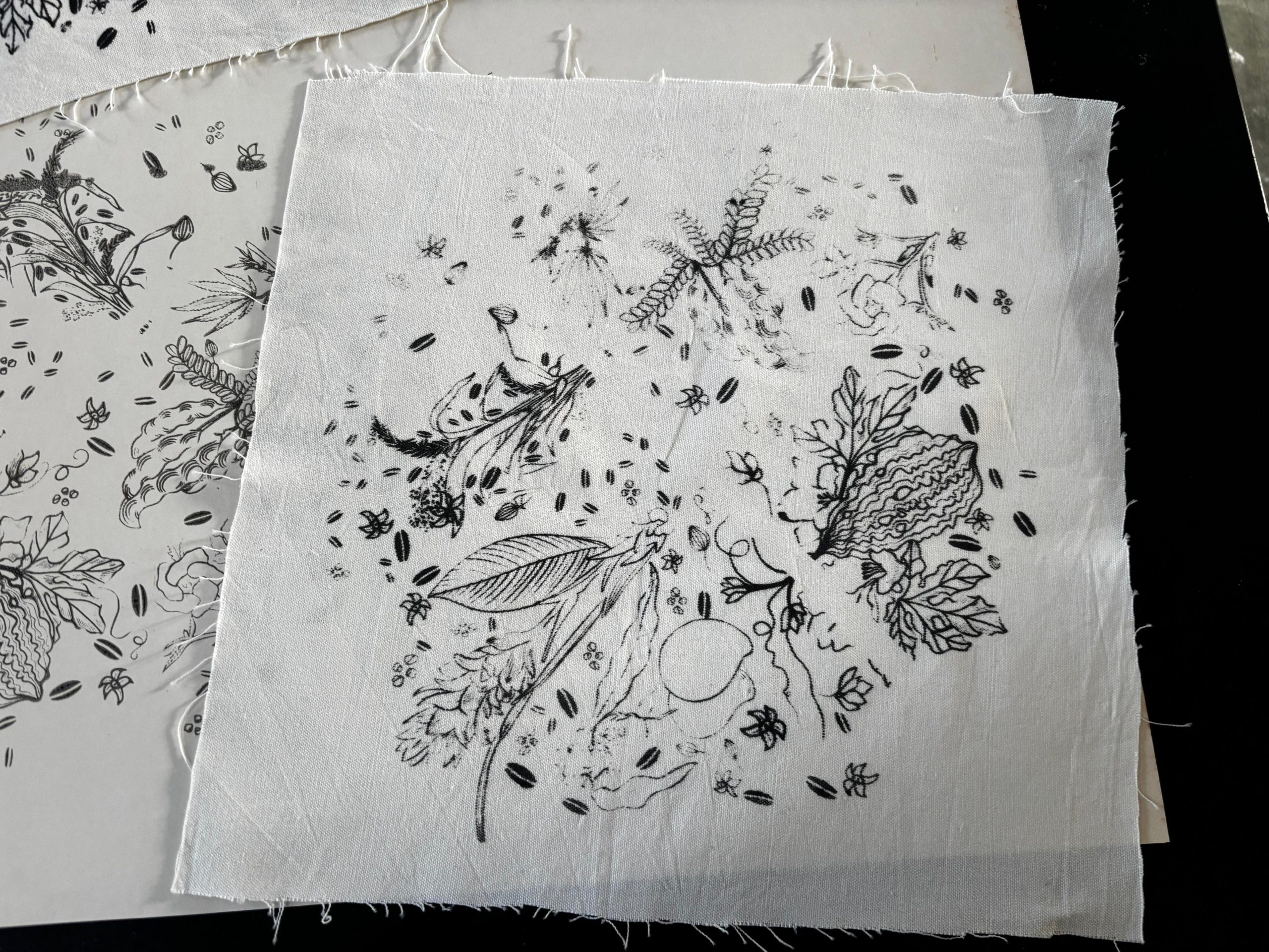 TRAVELING PLANTS, INTERWINED MEMORY